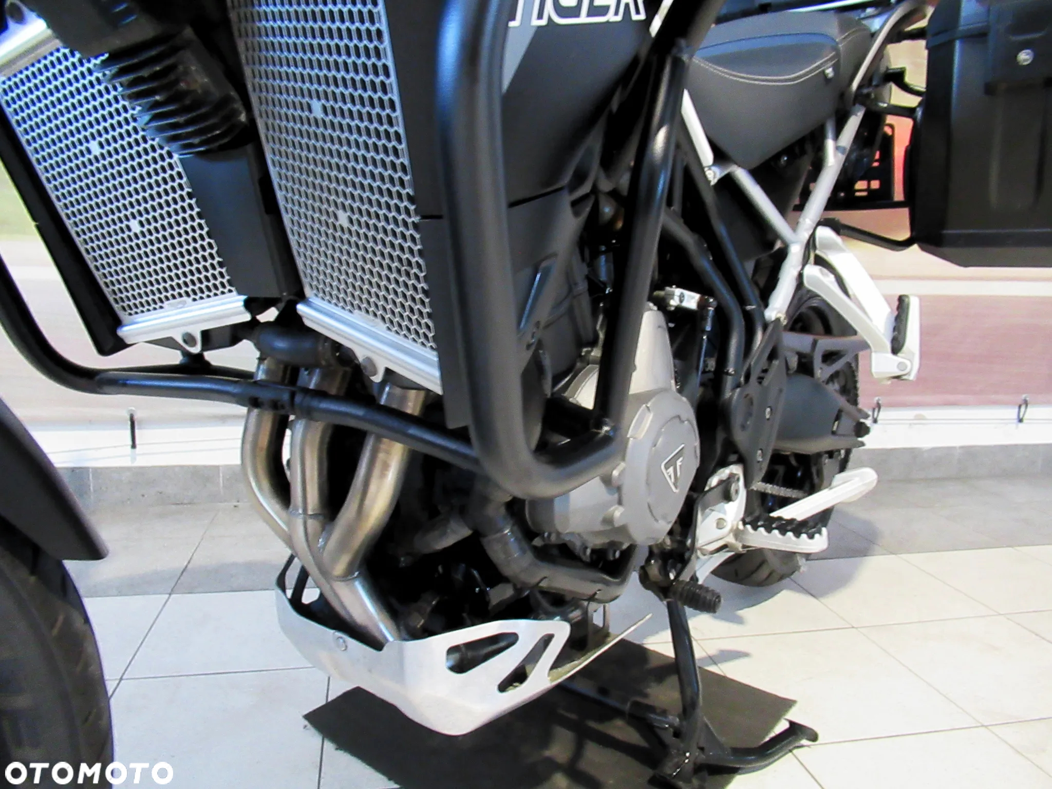 Triumph Tiger - 19
