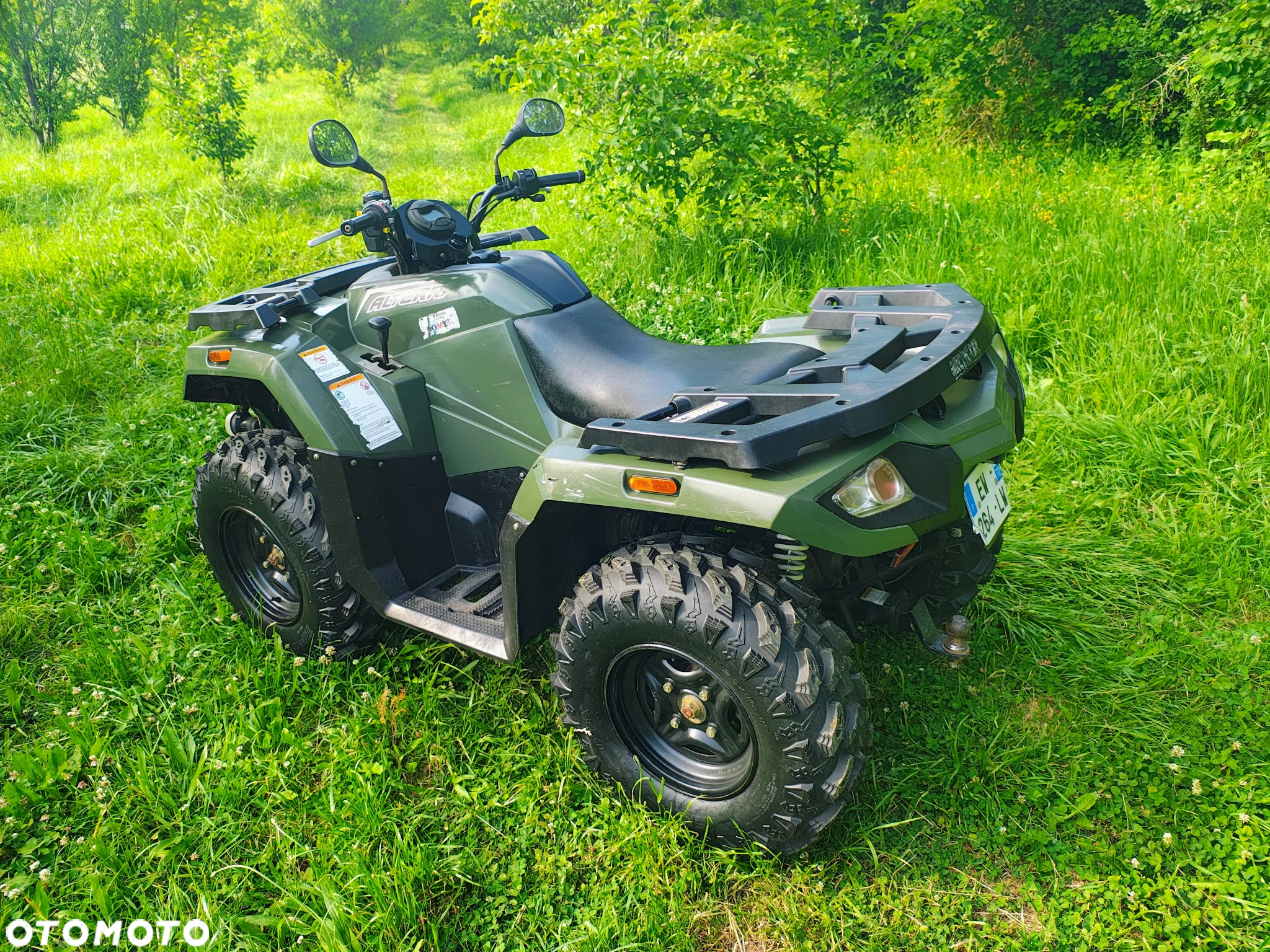 Arctic Cat Inny - 10
