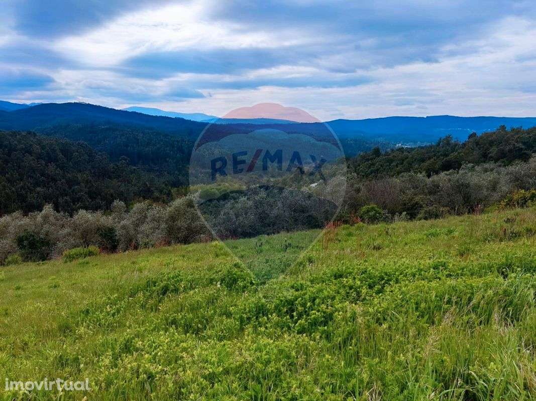 Terreno  para venda - Grande imagem: 3/4