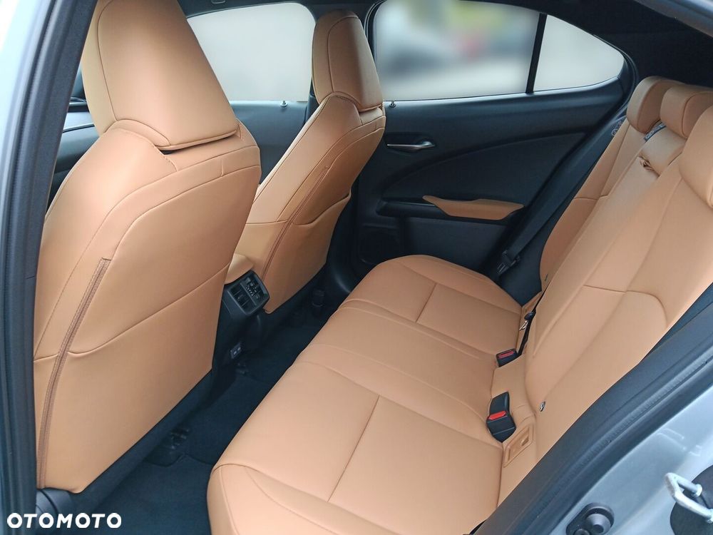 Lexus UX 300h F Sport Design - 14