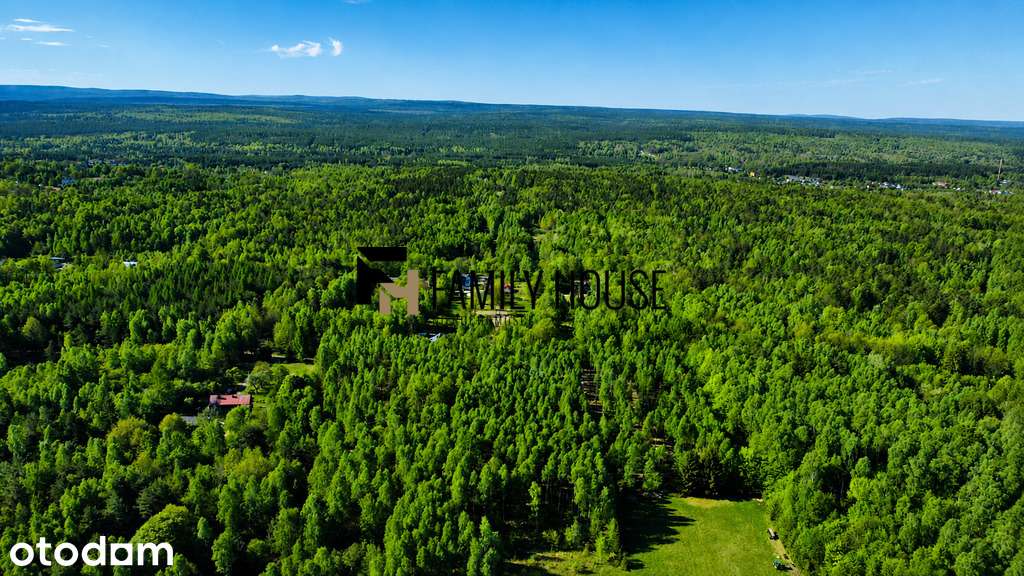 Działka budowlana pośród lasów 1677m2 Zagórze - Pełny obrazek: 5/14
