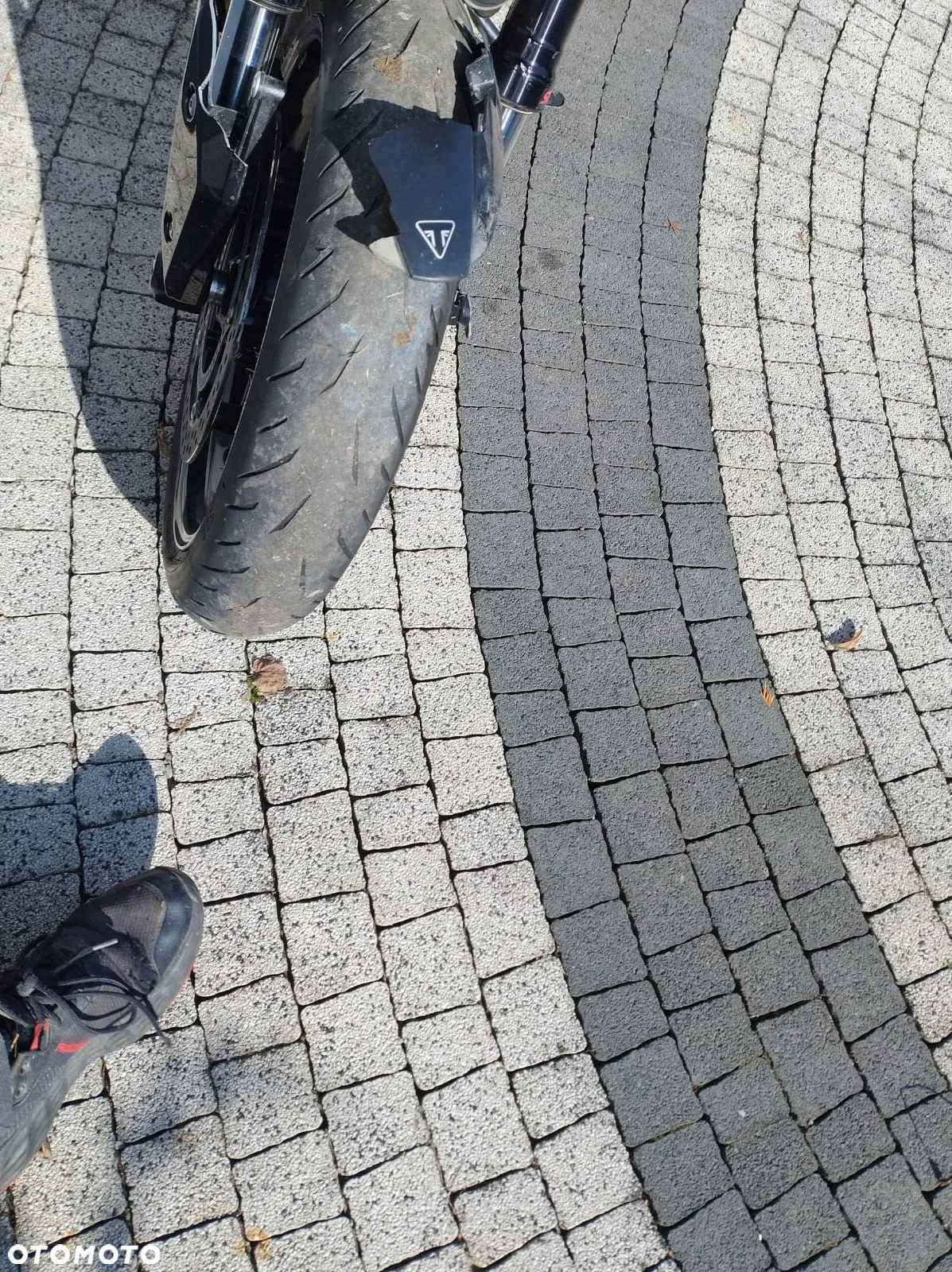 Triumph Tiger - 15