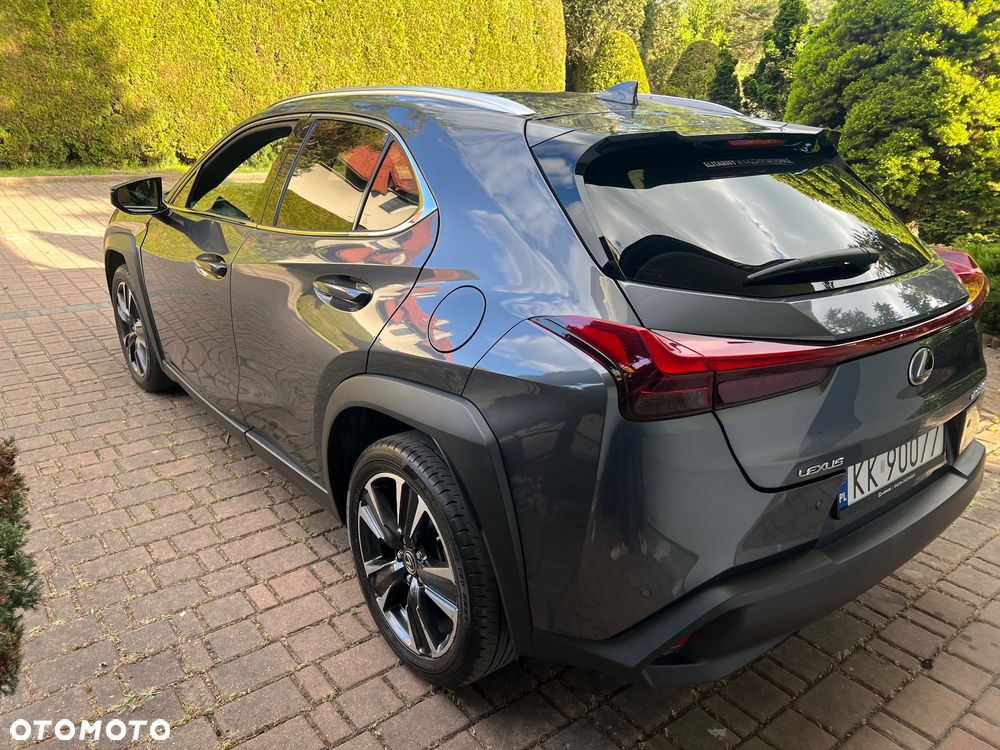 Lexus UX 250h GPF Business 2WD - 11