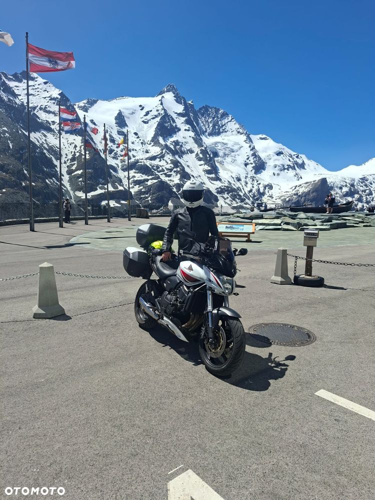 Honda Hornet - 11