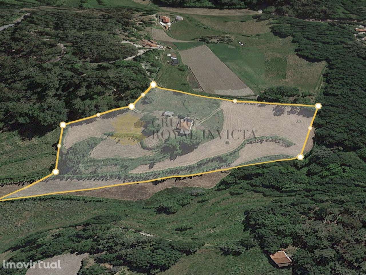 Quinta  Ribas Celorico de Basto + Pinhal - Oportunidade Turismo Rural - Grande imagem: 2/9