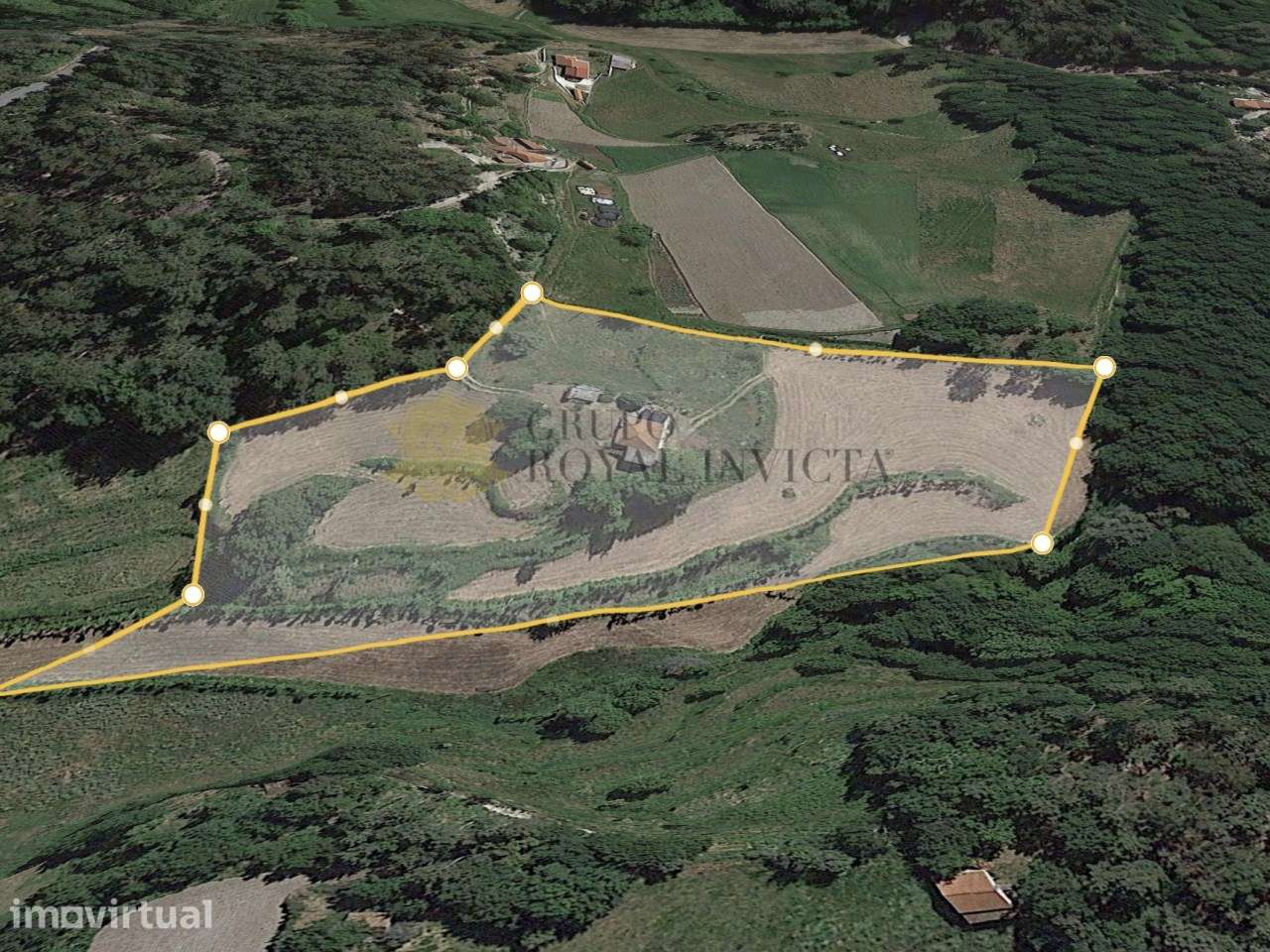 Quinta  Ribas Celorico de Basto + Pinhal - Oportunidade Turismo Rural - Grande imagem: 2/9