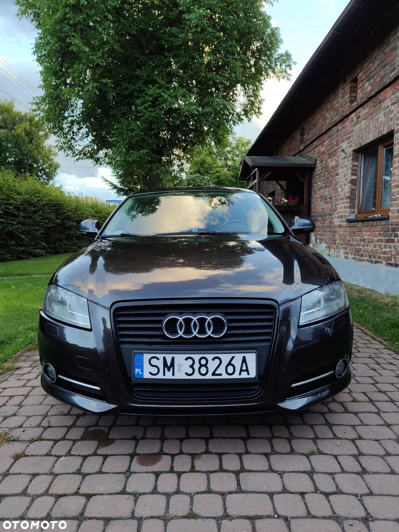 Audi A3 1.9 TDI Ambition - 1