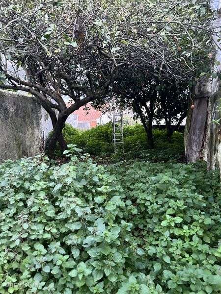 2 apartamentos no centro historico de Estremoz - Grande imagem: 5/8
