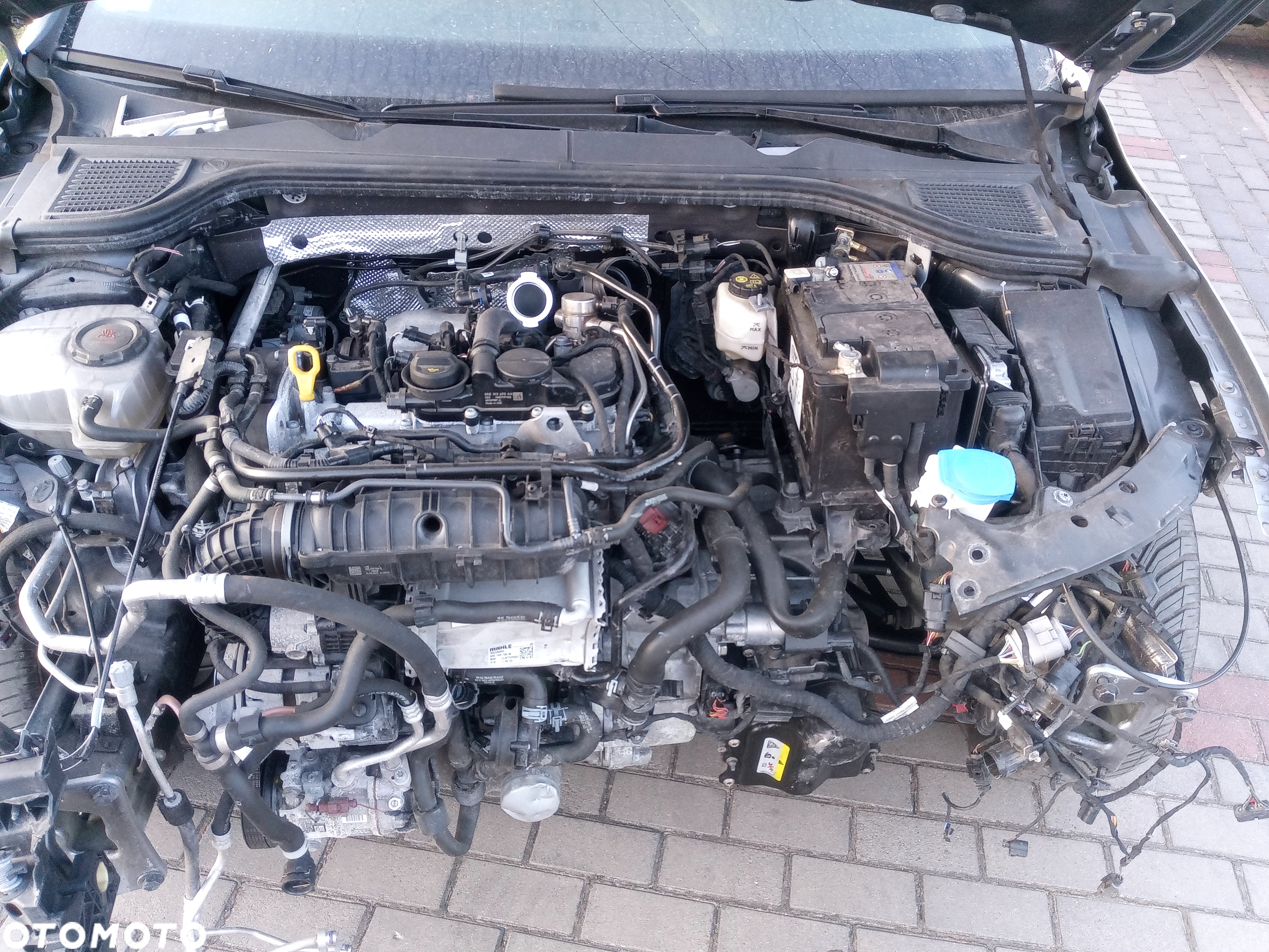 Volkswagen Golf 1.5 eTSI OPF DSG United - 11