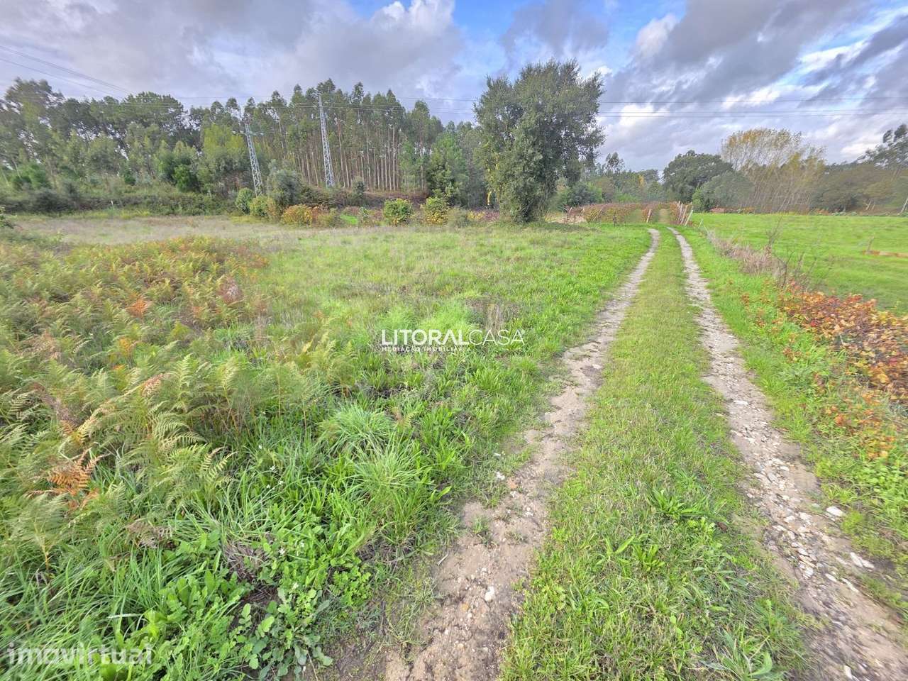 Terreno Agrícola - Eixo - Grande imagem: 4/14