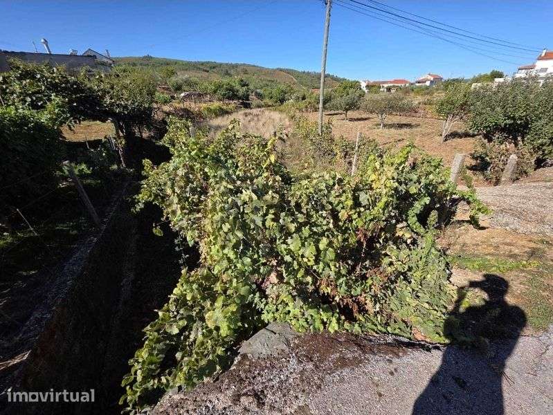 Vende-se terreno rústico com 500m2, na freguesia de Estreito - Grande imagem: 3/8