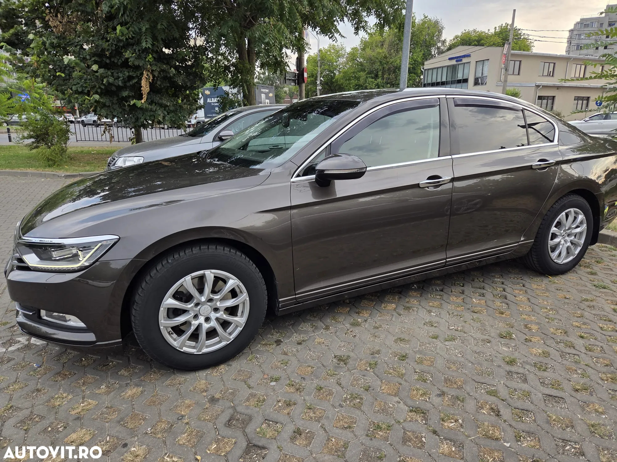 Volkswagen Passat - 3
