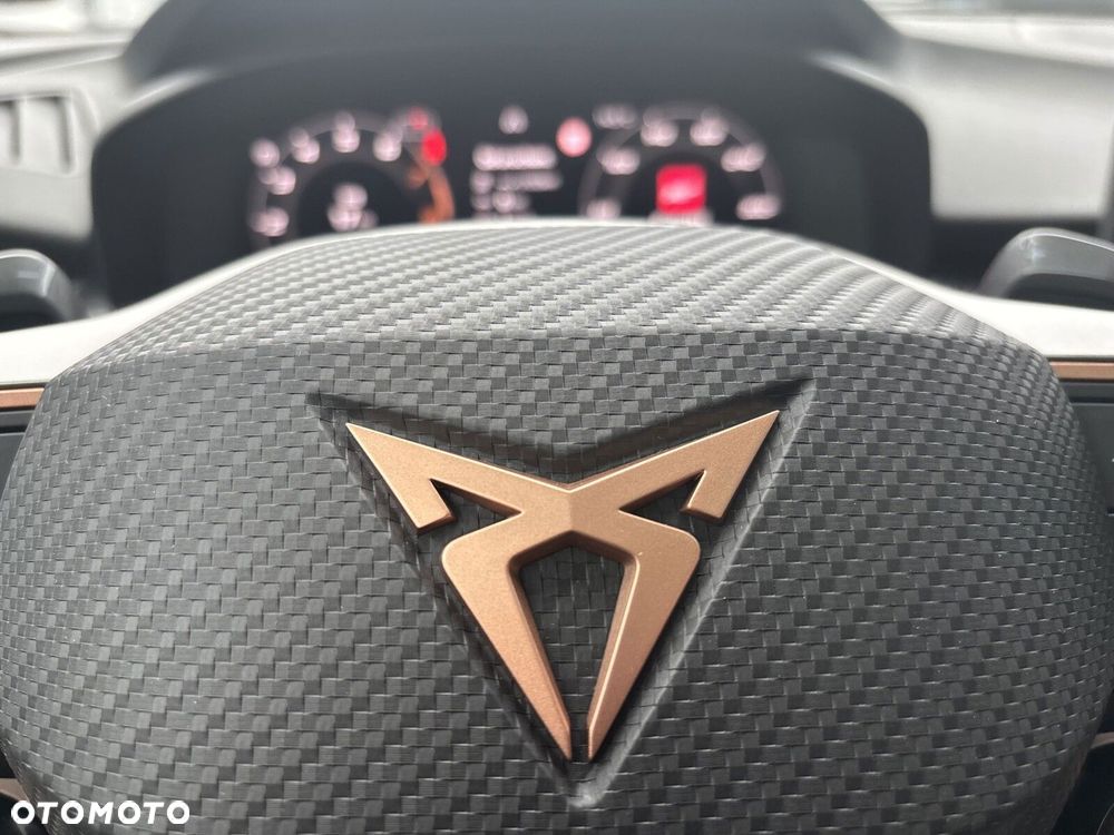 Cupra Terramar 2.0 TSI 4Drive VZ DSG - 25