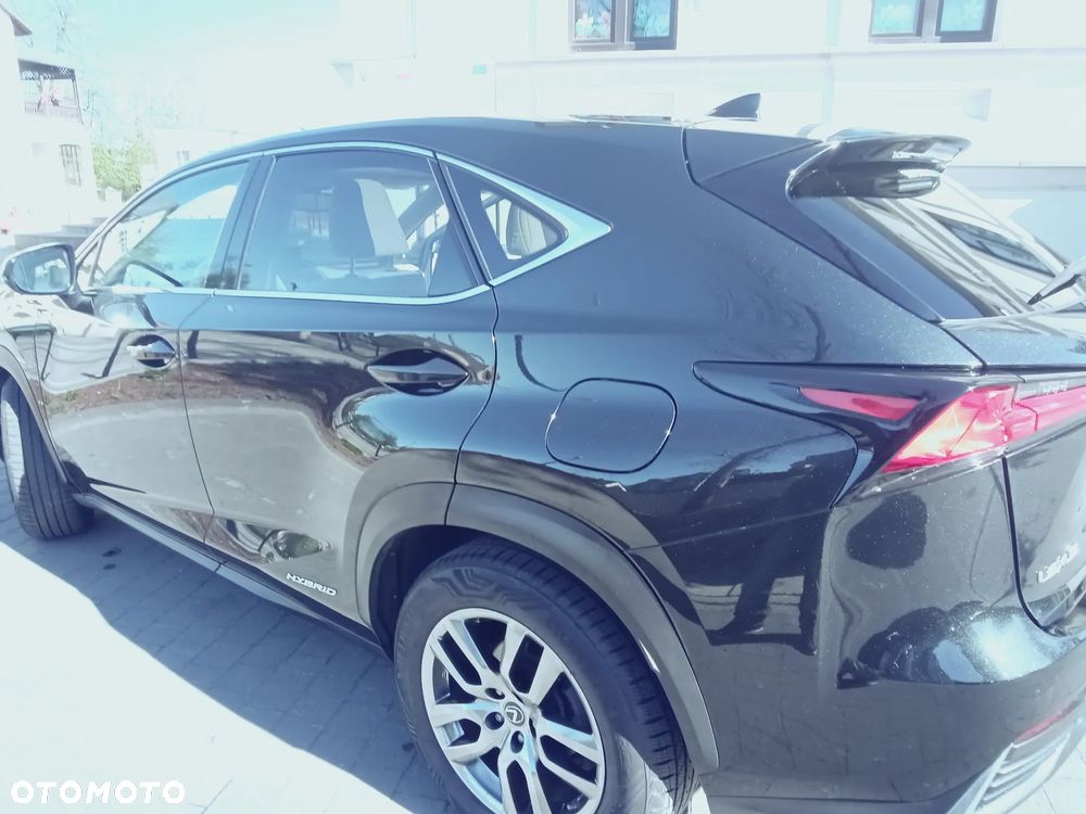 Lexus NX - 17