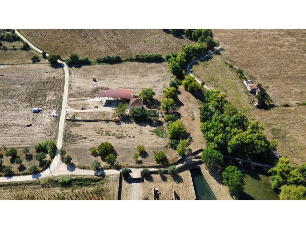 Quinta em Torres Novas com projeto de remodelação junto ao Rio Almonda - Grande imagem: 5/38