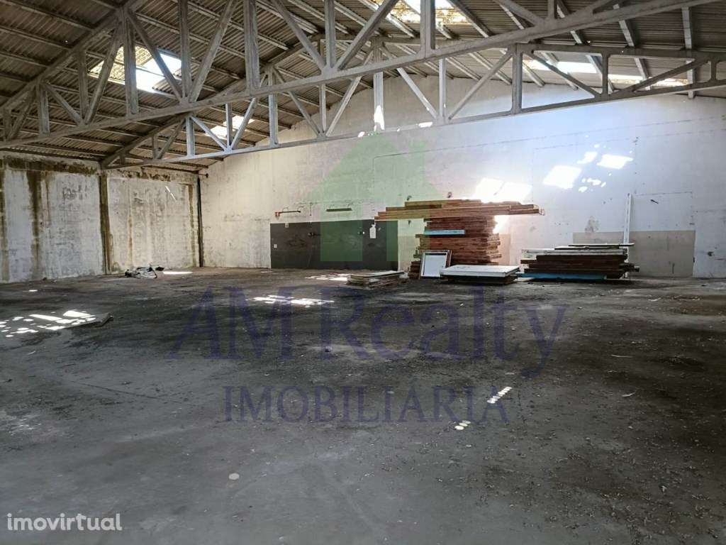 *INVESTIMENTO* - Grande imagem: 5/12