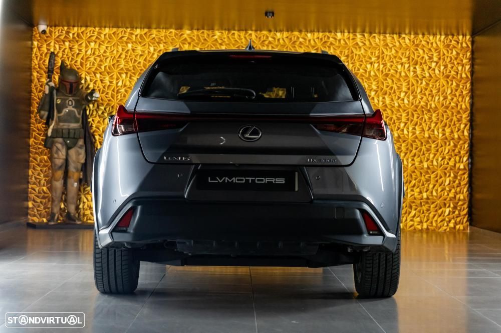 Lexus UX 300e Luxury - 12