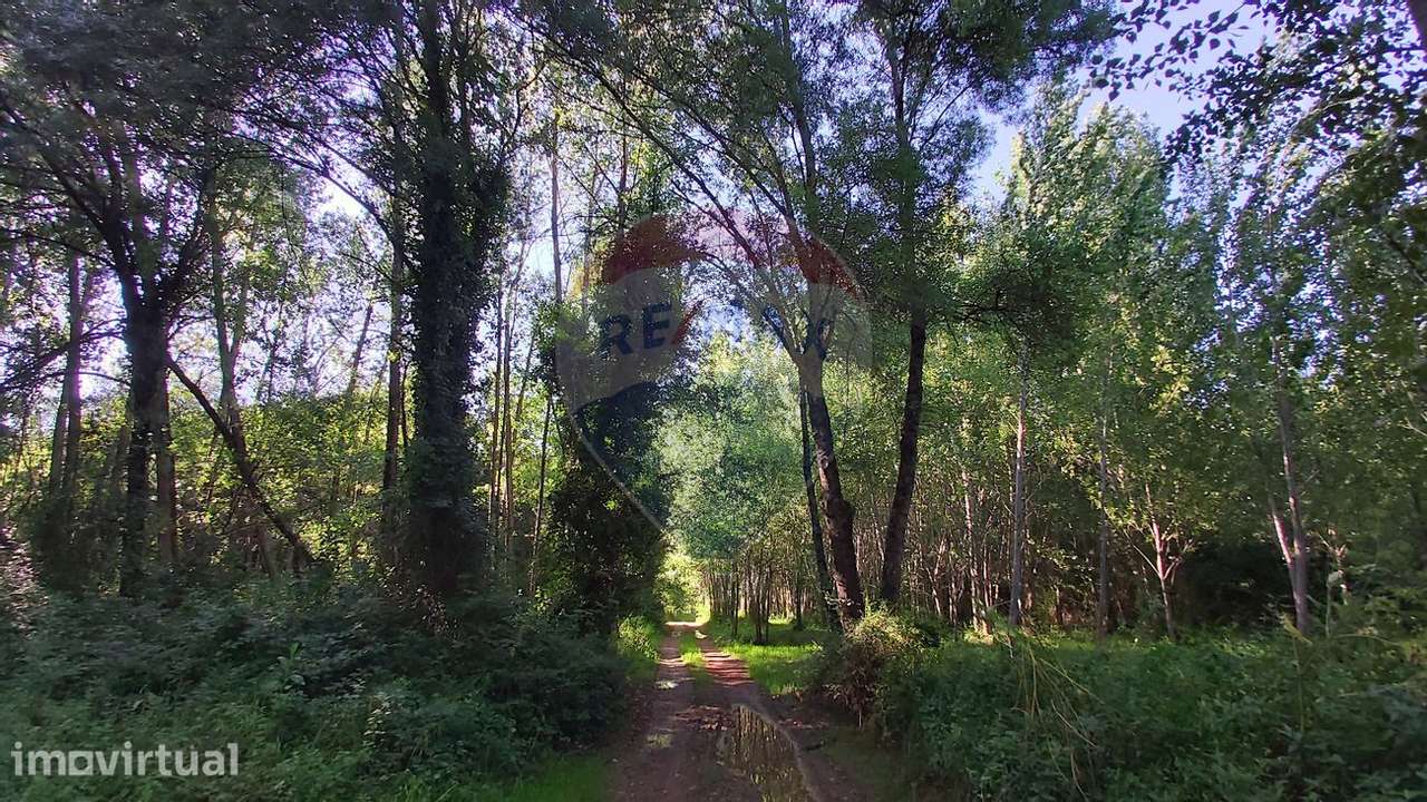 Terreno  para venda - Grande imagem: 4/11