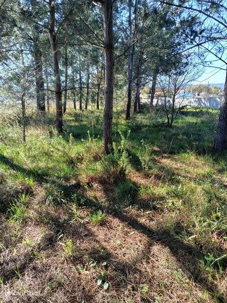 Terreno para construção - Grande imagem: 4/9