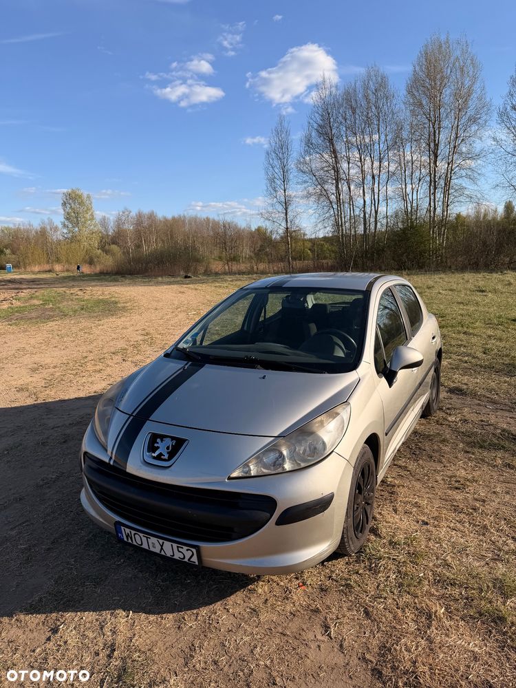 Peugeot 207 - 13
