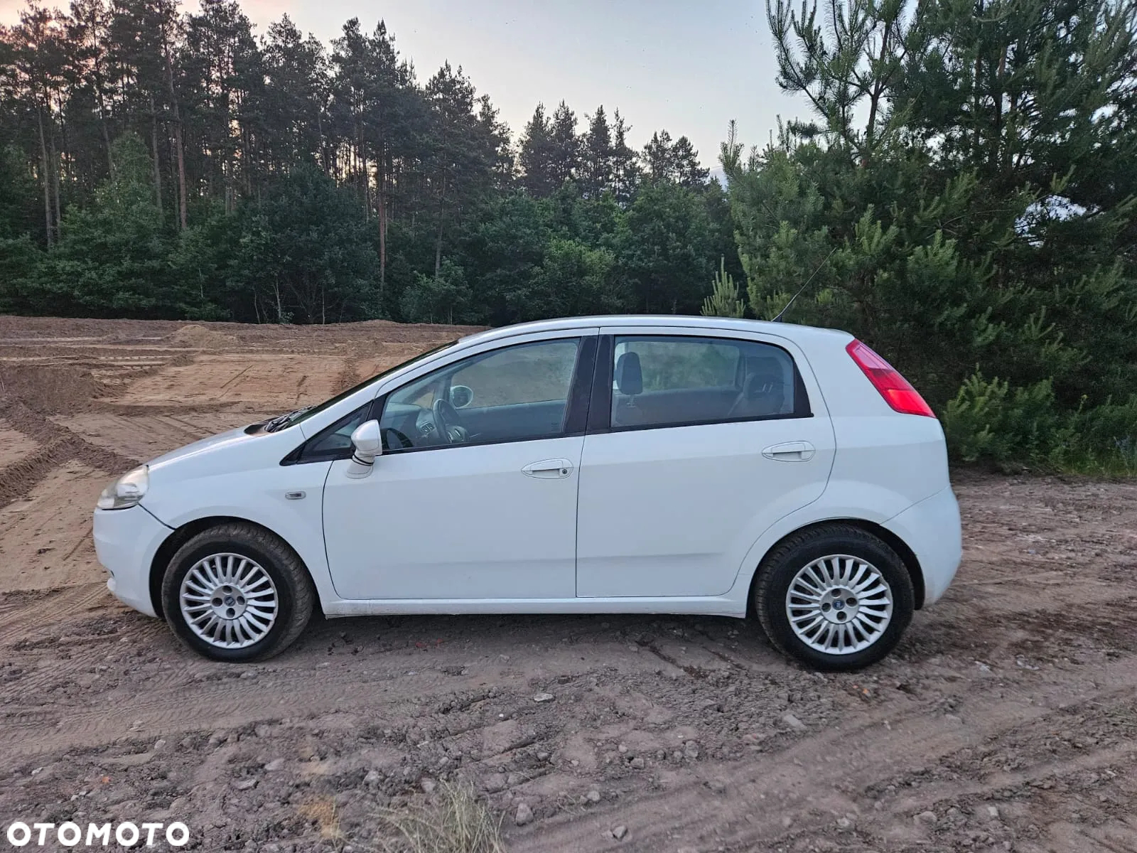 Fiat Punto 1.3 JTD Active - 8