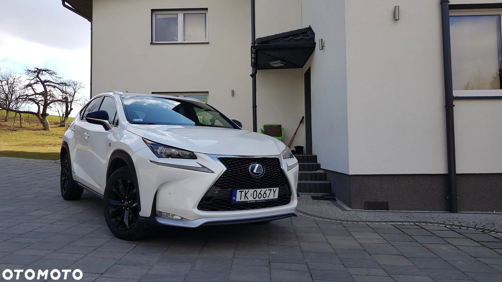 Lexus NX 300h - 13