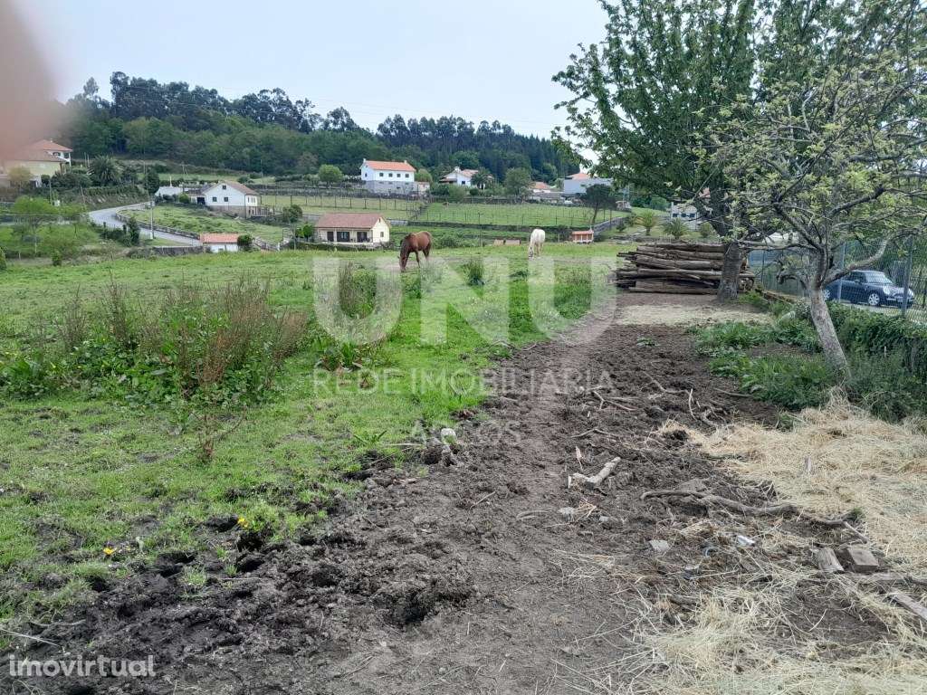 Terreno Plano com Viabilidade de Construção na Miranda - Grande imagem: 3/3