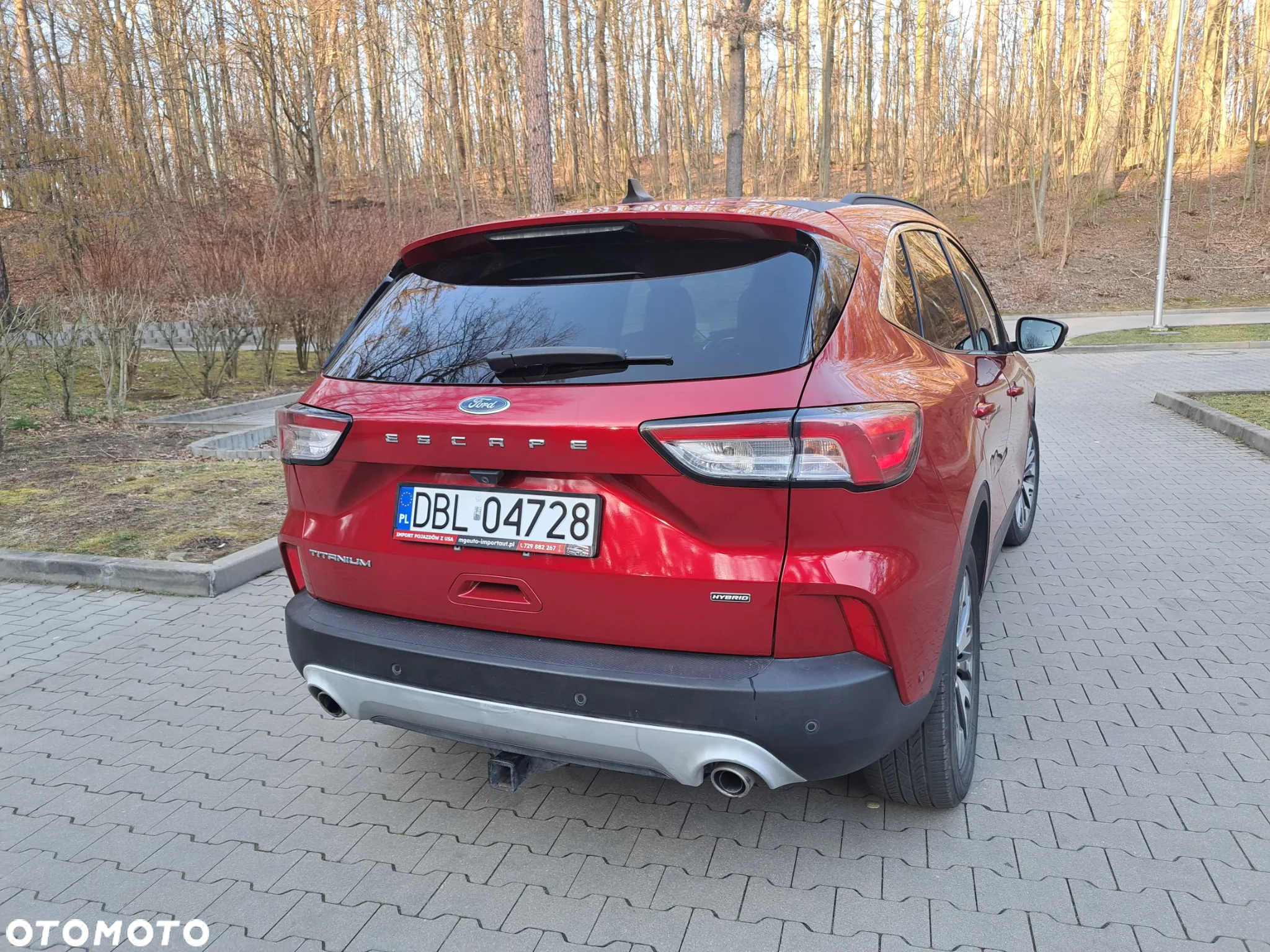 Ford Escape - 8