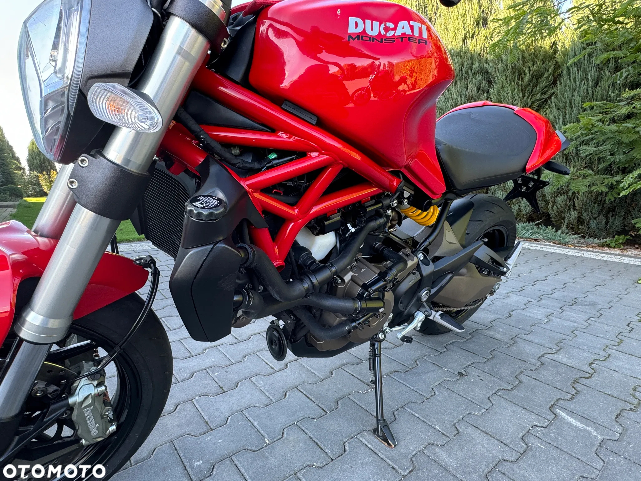 Ducati Monster - 12