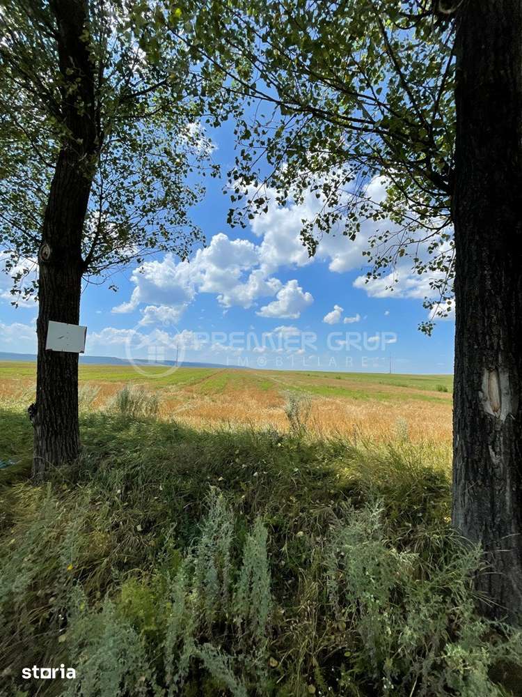 Teren extravilan 7.000mp, Miroslava - Liliac, 10€/mp - Imagine principală: 3/10