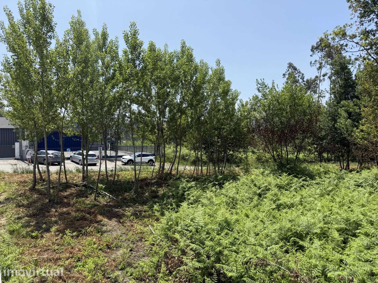 Terreno plano para construção - Grande imagem: 2/5