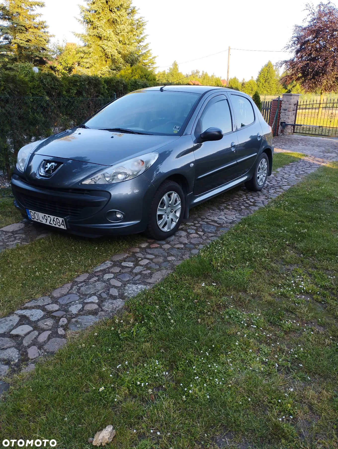 Peugeot 206 - 13