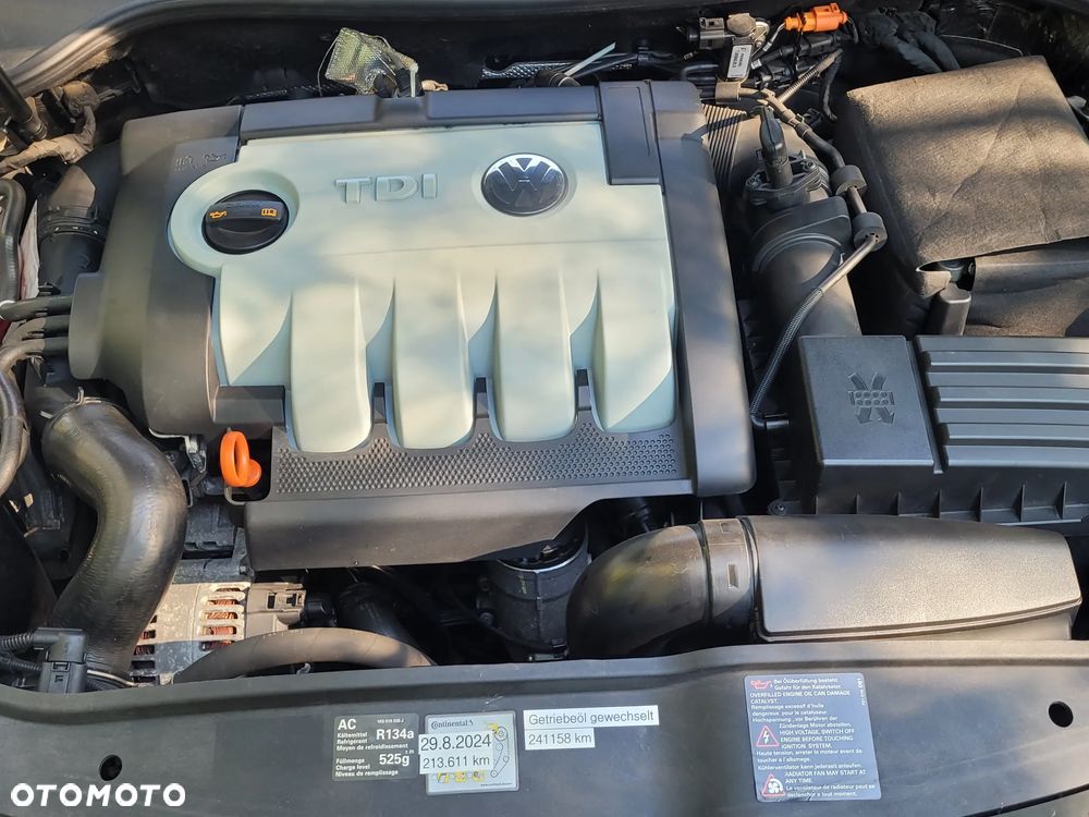 Volkswagen Golf - 32
