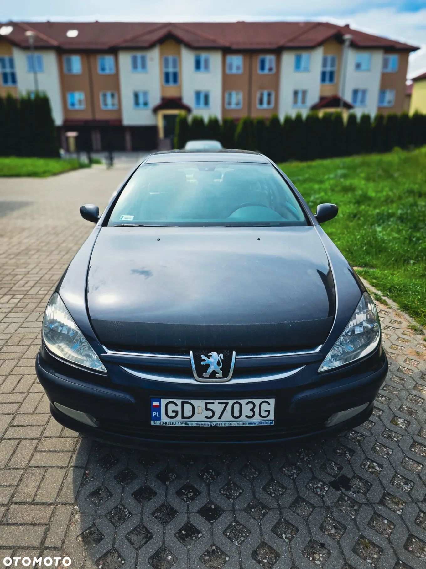 Peugeot 607 2.2 HDI Pack Ivoire Tiptronic - 8