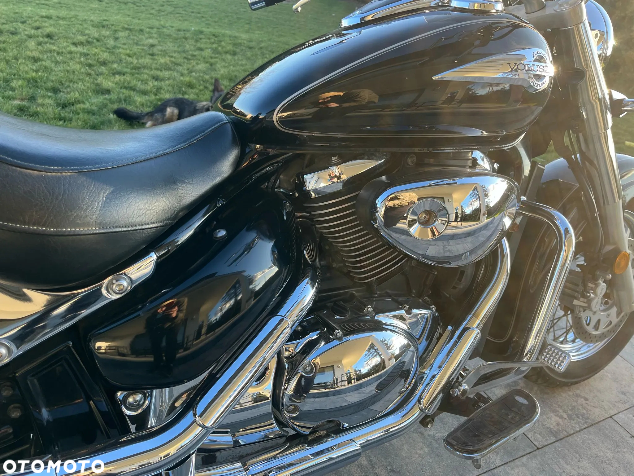 Suzuki VL 800 Volusia - 6