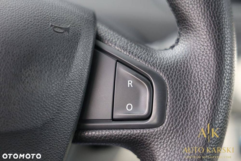 Renault Scenic - 22