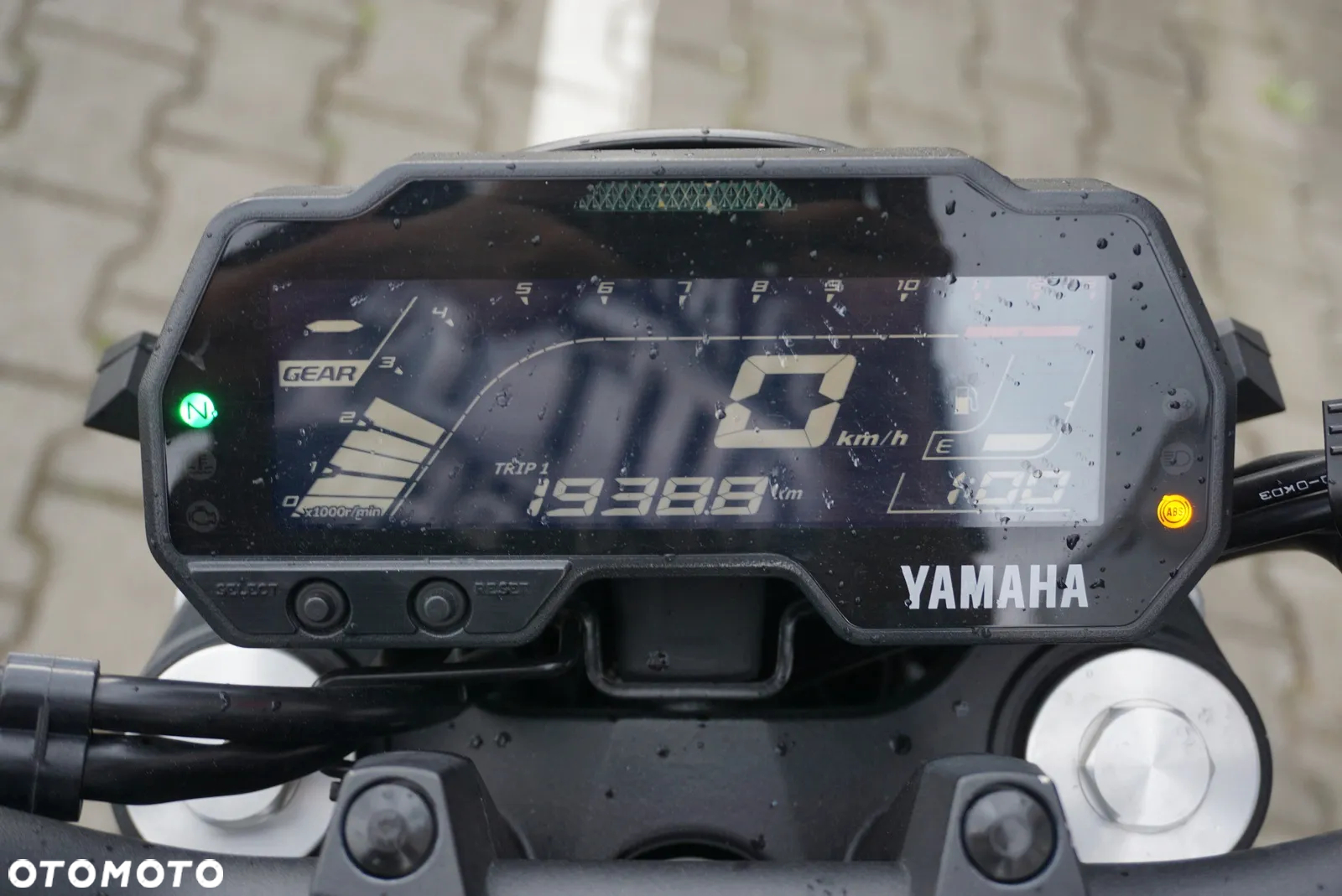 Yamaha MT - 22