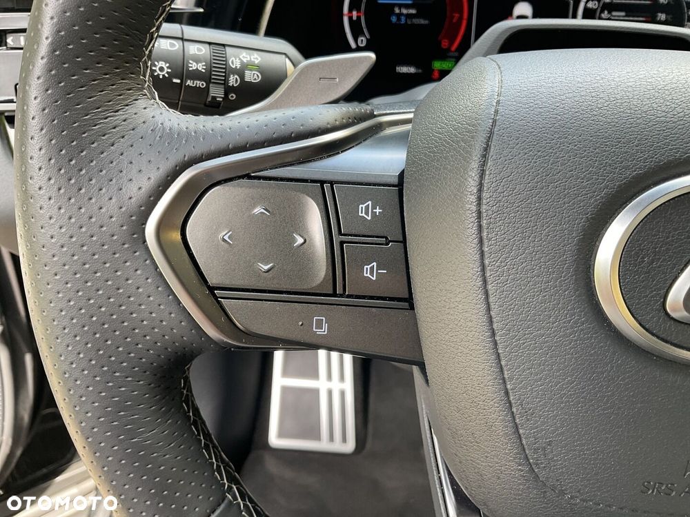 Lexus RX - 26