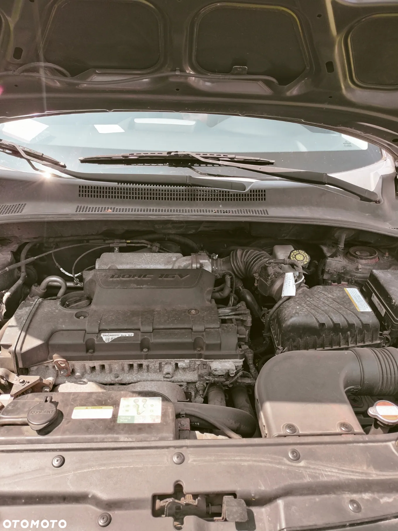 Kia Sportage - 5