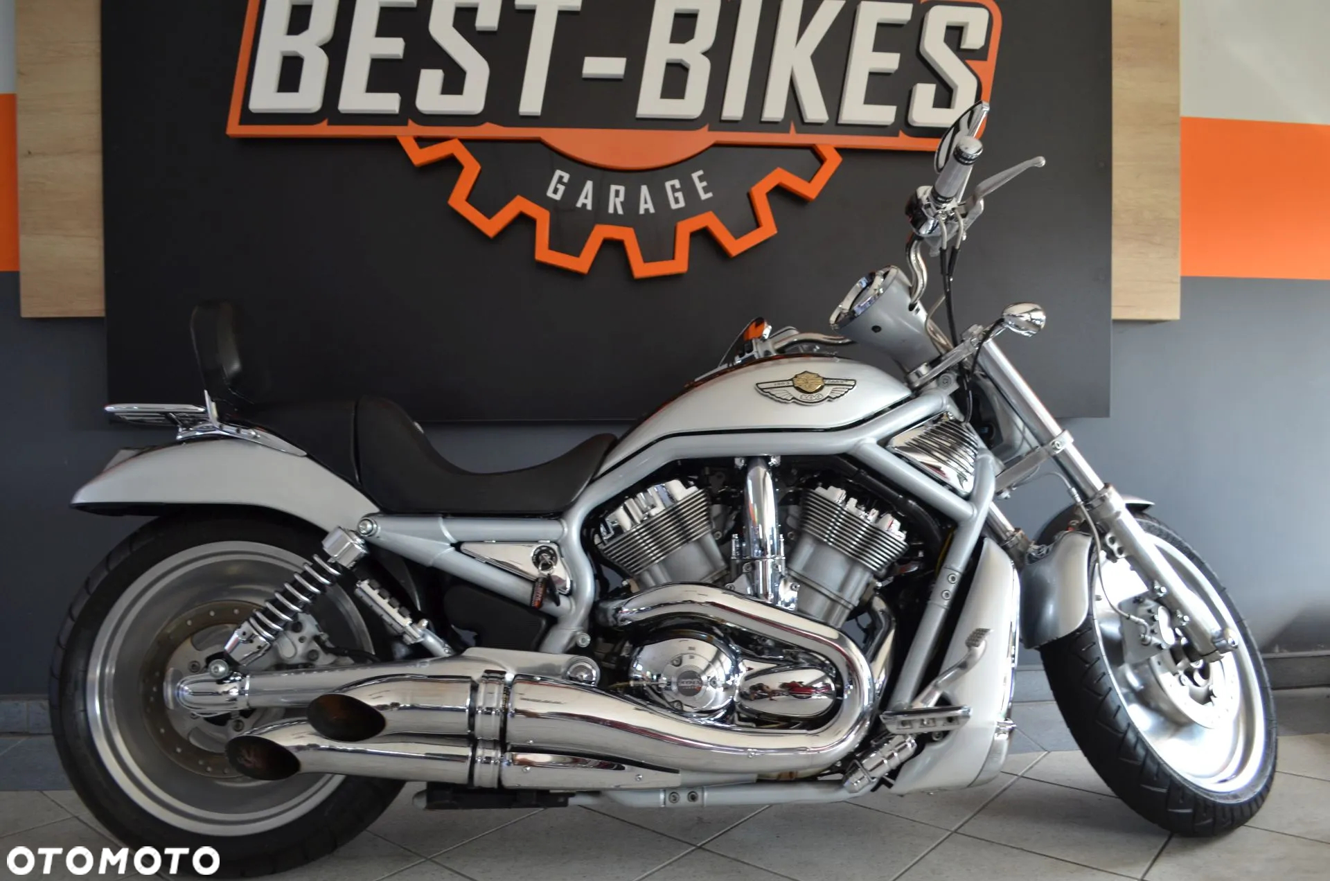 Harley-Davidson Softail V-Rod - 2