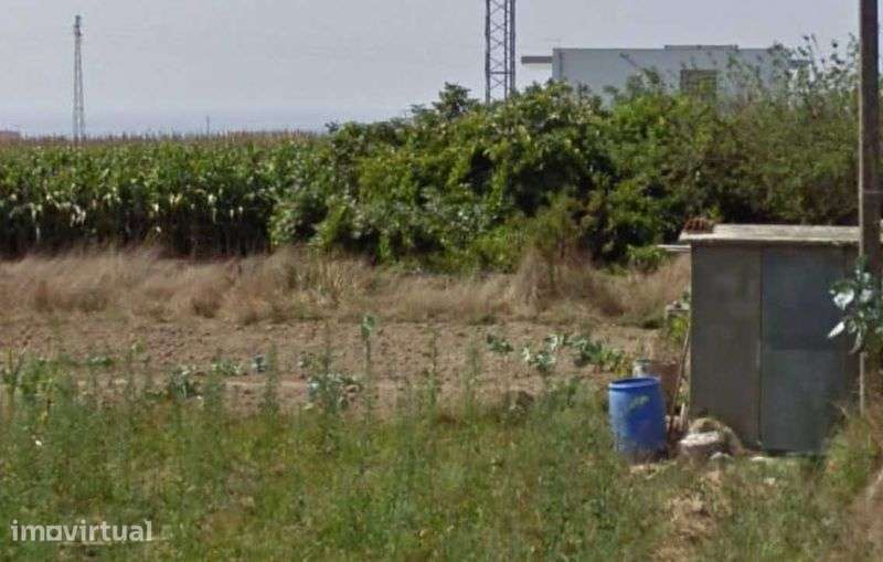 1200m2 em Lavra - Terreno agrícola para arrendamento - Grande imagem: 3/3