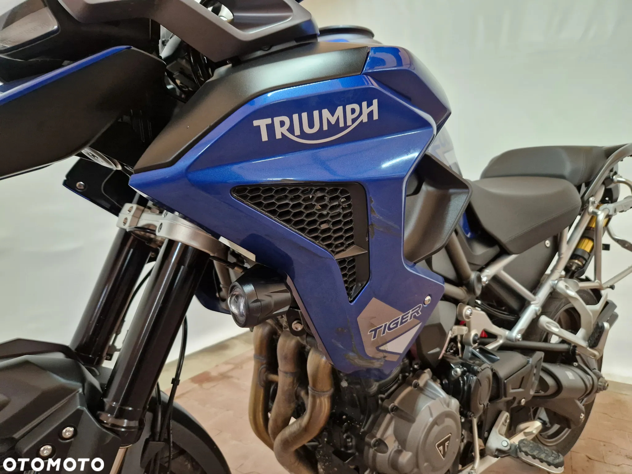 Triumph Tiger - 21