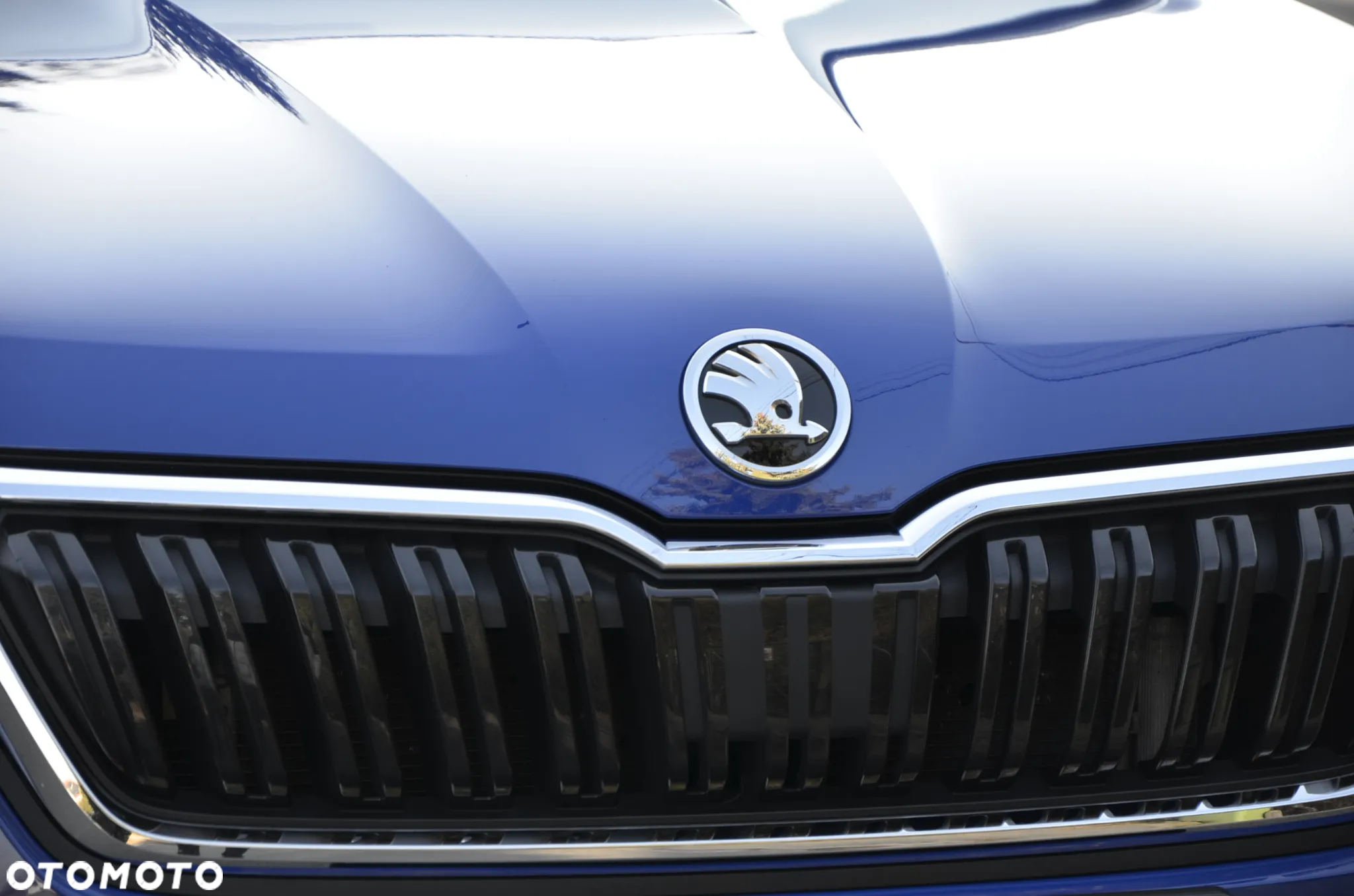 Skoda Kamiq 1.0 TSI Ambition DSG - 6