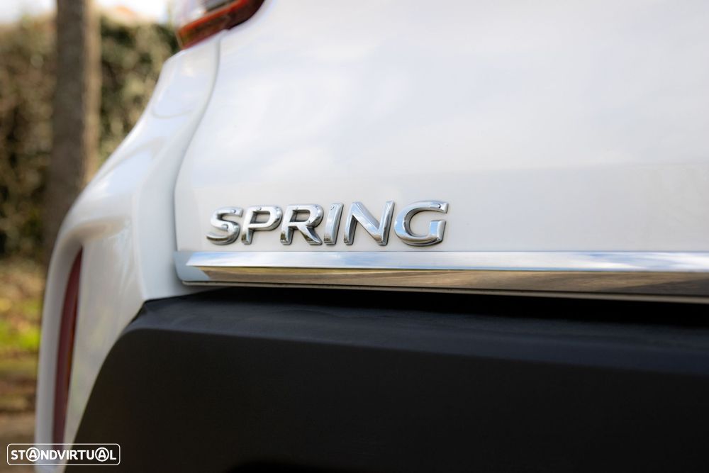 Dacia Spring Electric 45 Comfort Plus - 39