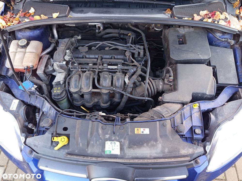 Ford Focus - 10