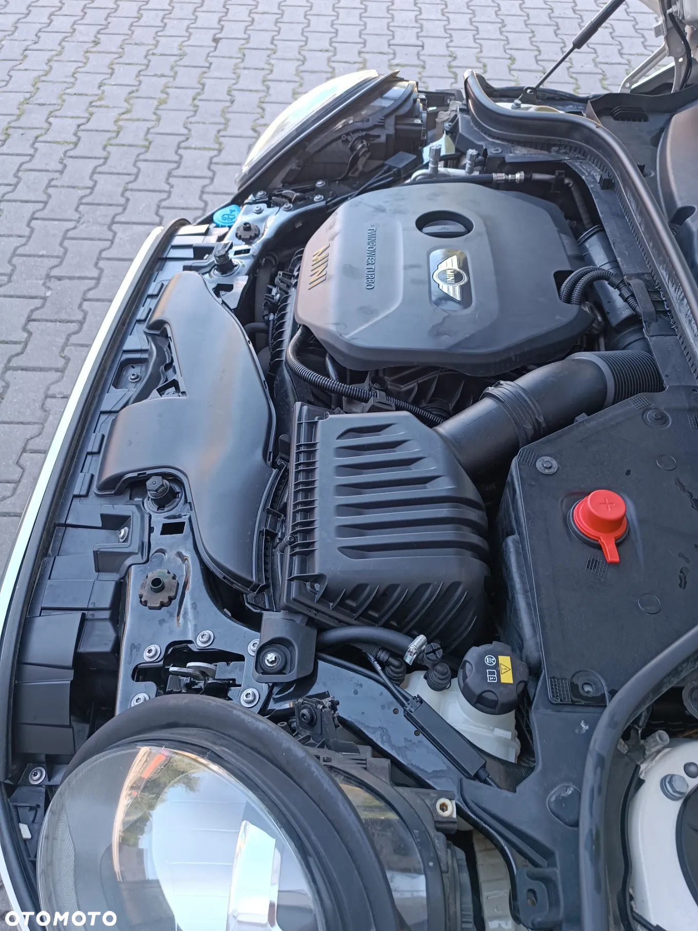MINI ONE Standard - 23