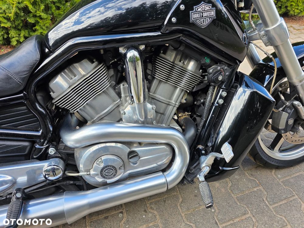 Harley-Davidson V-Rod Muscle - 19