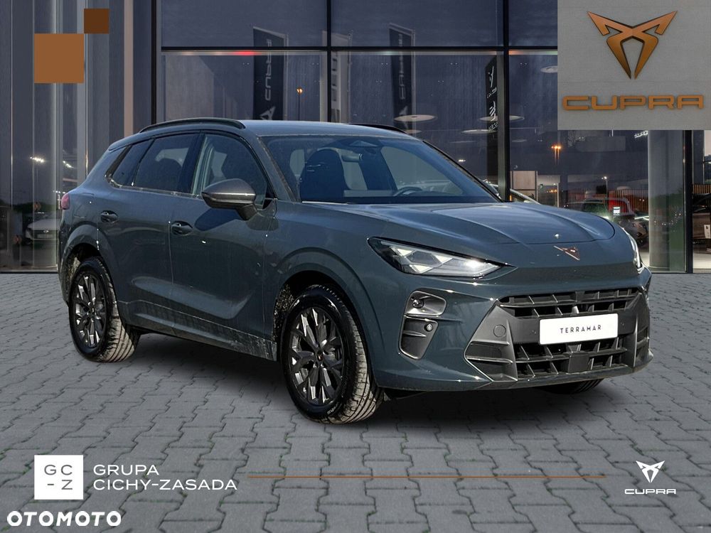 Cupra Terramar - 8