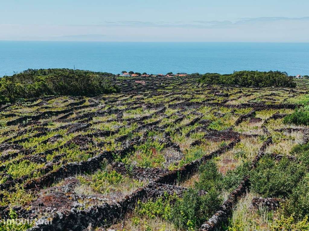 Terreno exclusivo com autenticidade, vista mar e montanha - ilha do... - Grande imagem: 2/19