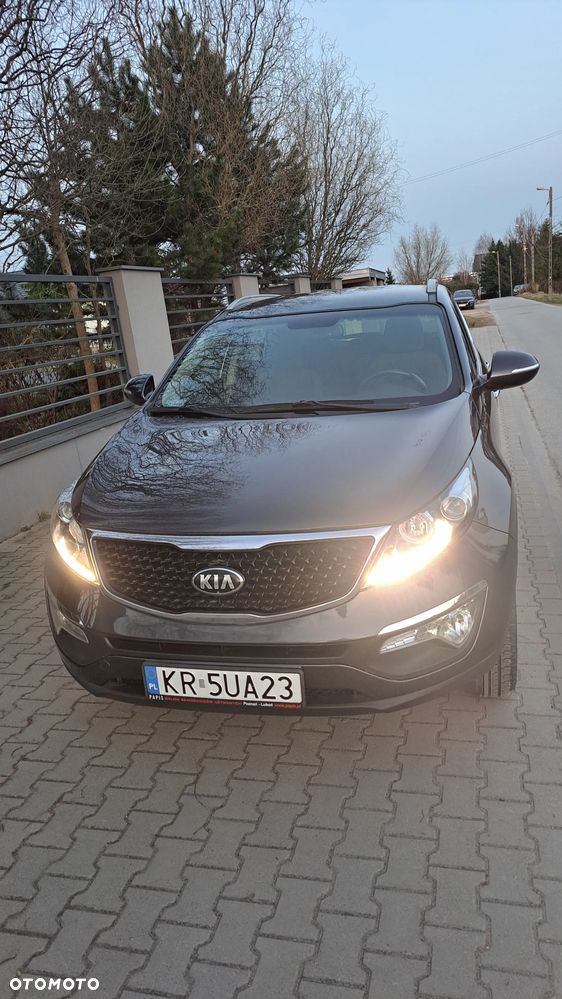 Kia Sportage - 12